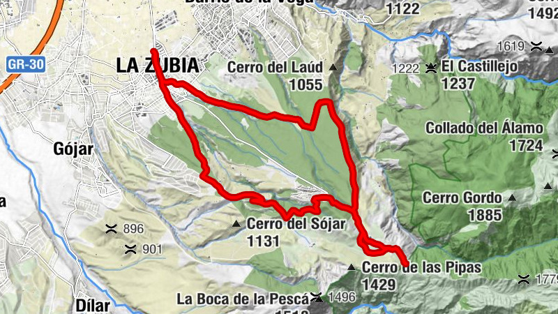 Carte
