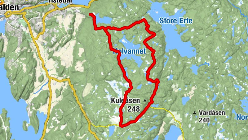 Carte