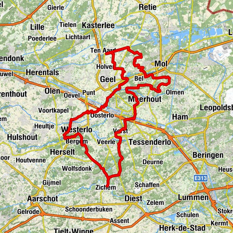 Zichem - Sint-Gertrudiskerk - Sint-Hubertuskerk - Sint-Apolloniakerk