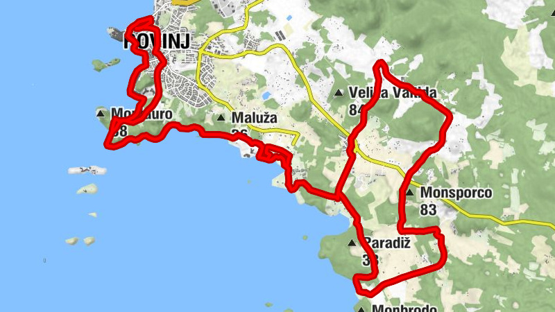 Carte