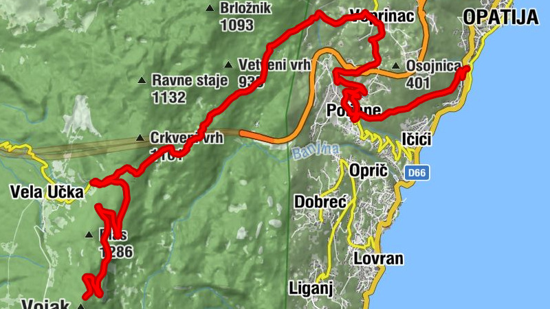 Carte