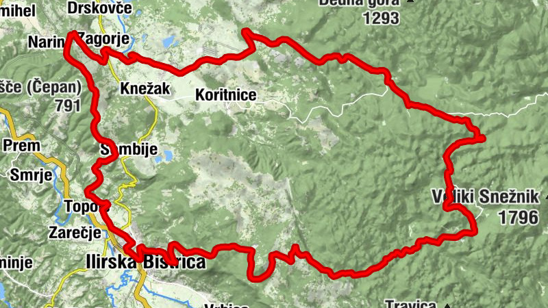 Carte