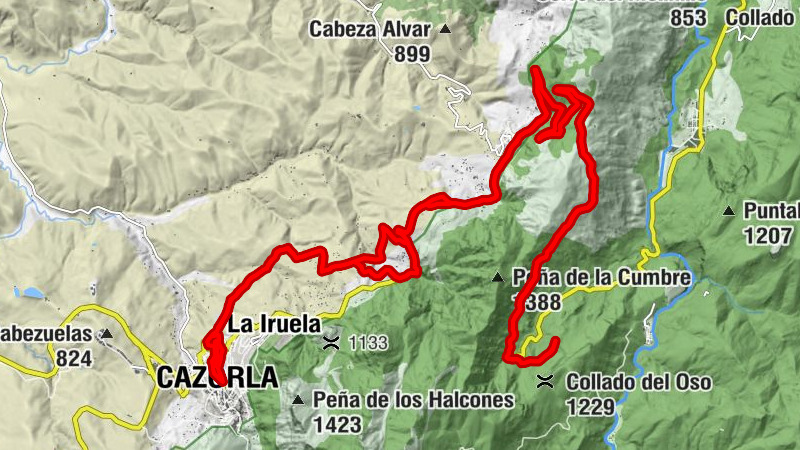 Carte