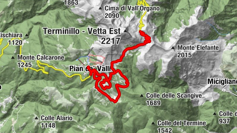 Carte