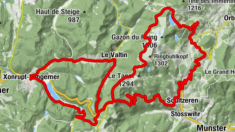 Carte