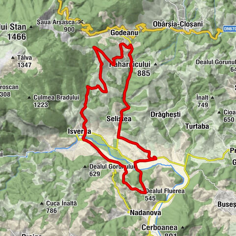Isverna - Seliștea - Godeanu - Dealul Fluerea
