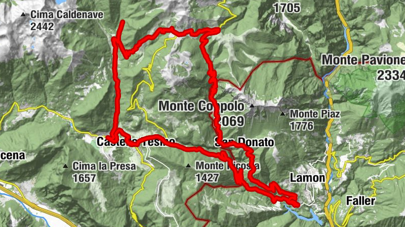 Carte