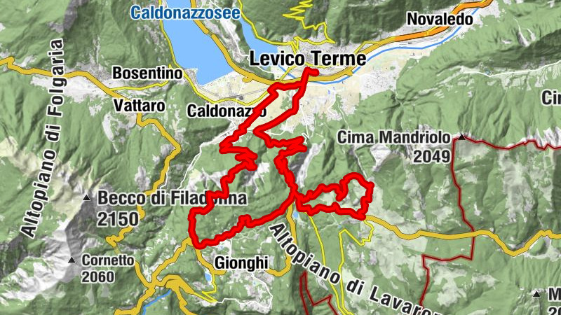 Carte