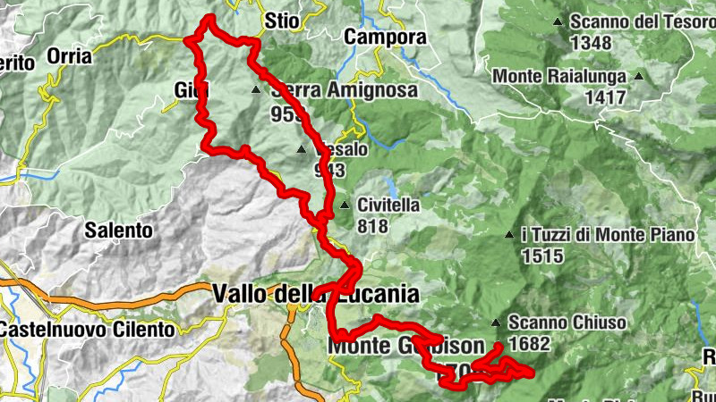 Carte