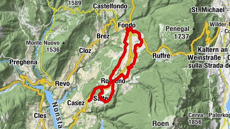 Carte