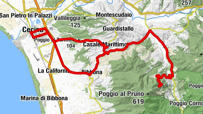 Carte