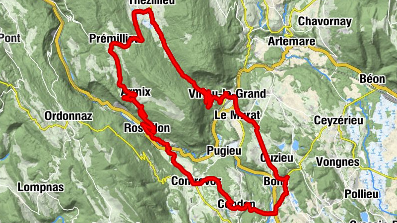 Carte