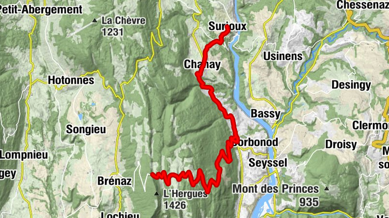 Carte