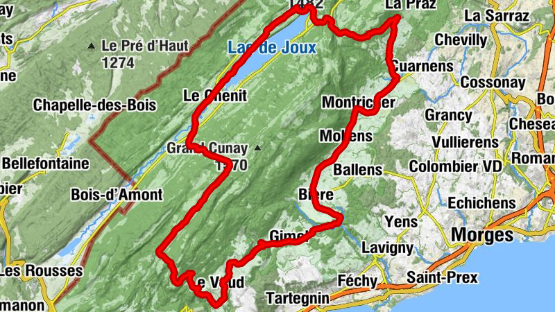 Carte