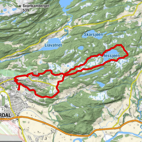 Stjørdal - Remyra - Husåsen - Dølin