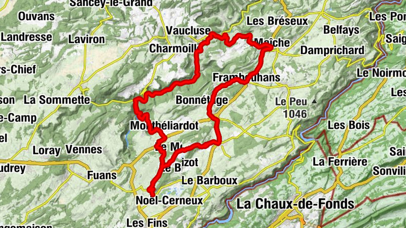 Carte