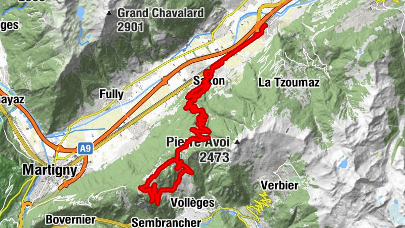 Carte