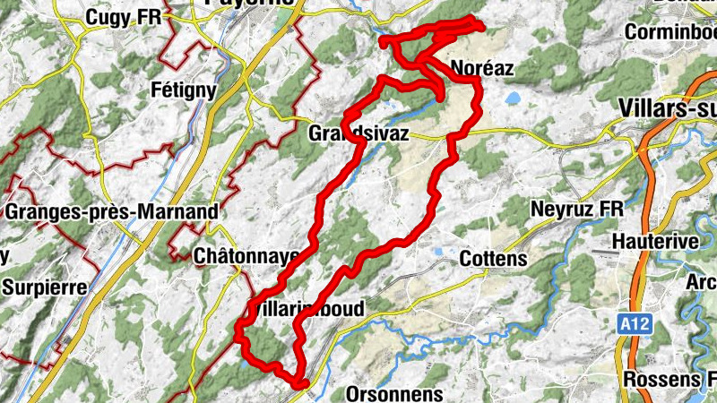 Carte