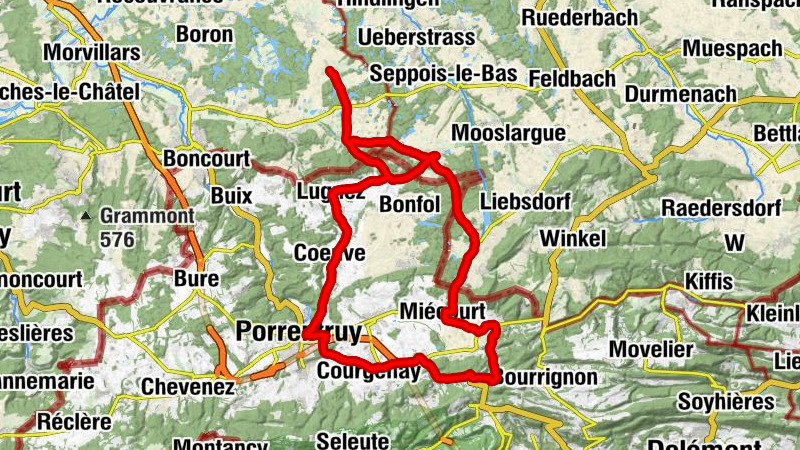 Carte