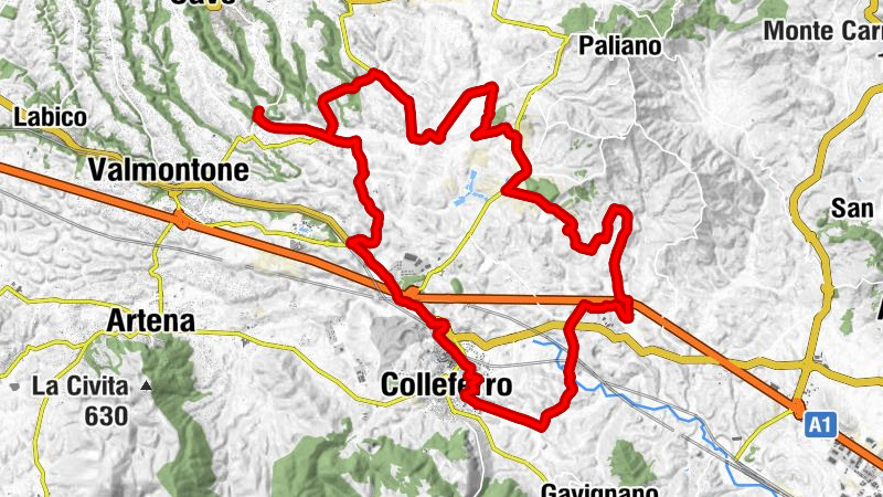 Carte