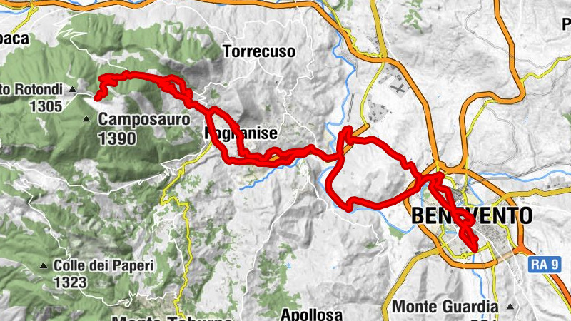 Carte