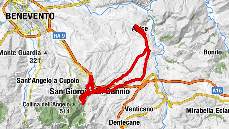 Carte
