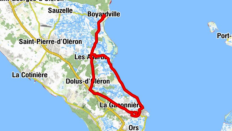 Carte