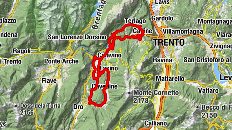 Carte