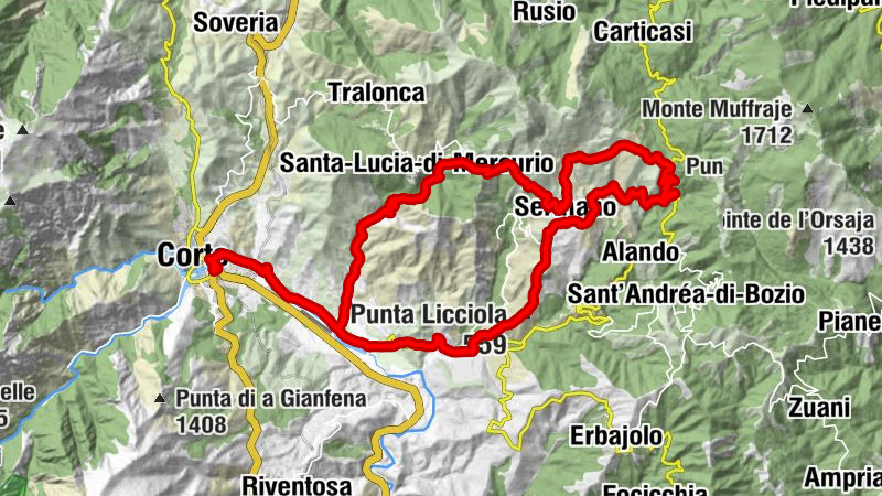Carte