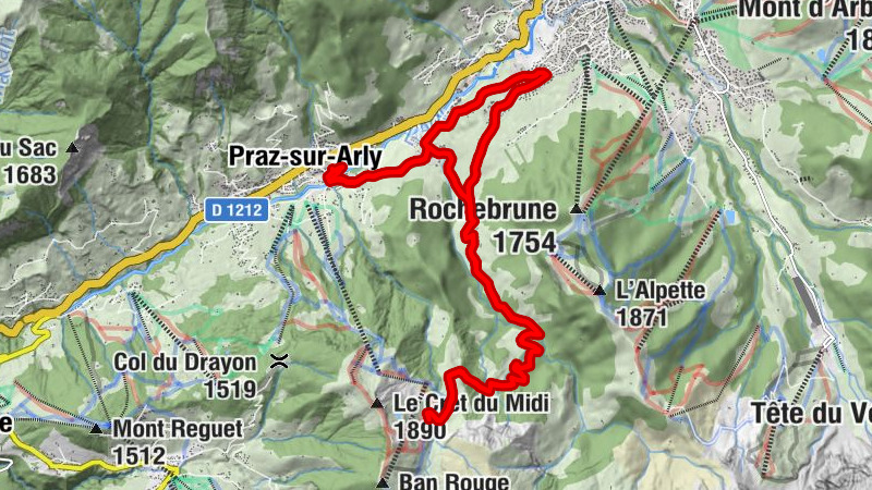 Carte
