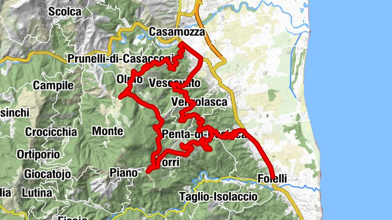 Carte