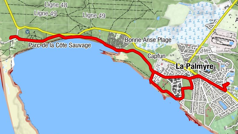 Carte