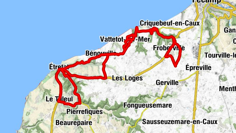 Carte