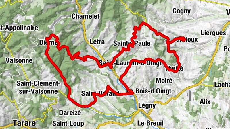 Carte