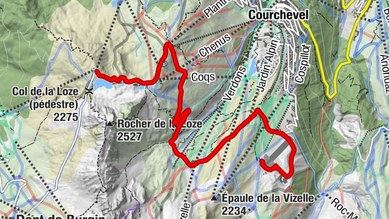 Carte