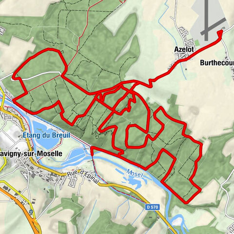 Azelot
