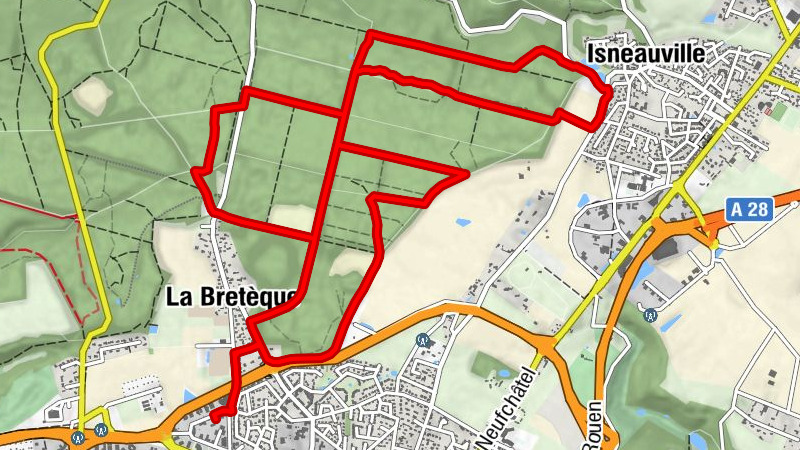 Carte