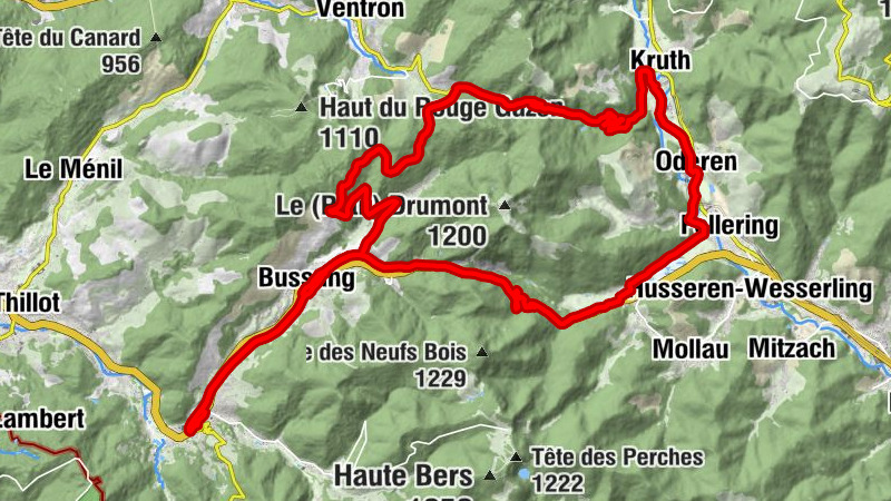 Carte