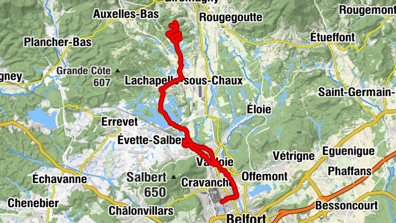 Carte