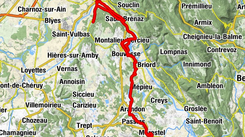 Carte