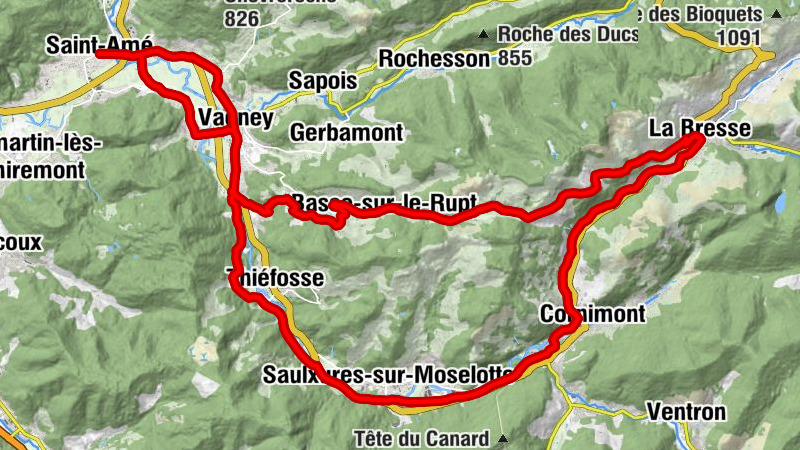 Carte