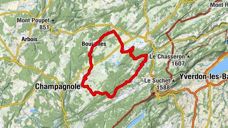 Carte