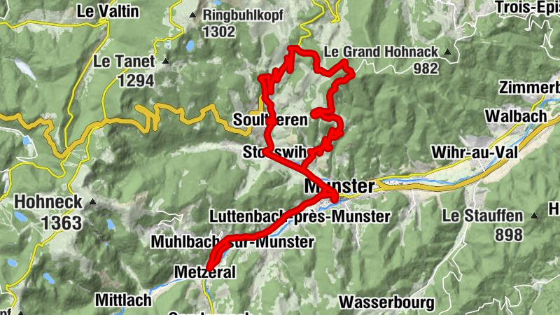 Carte