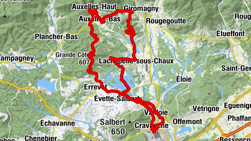 Carte