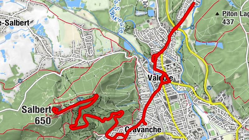 Carte