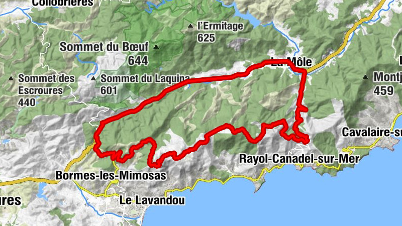 Carte
