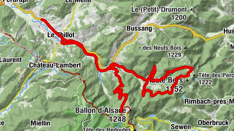 Carte
