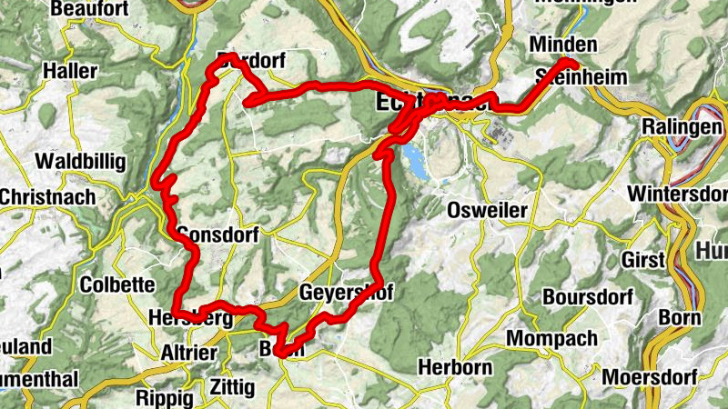 Carte