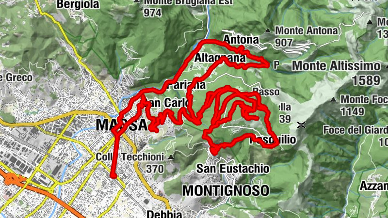 Carte