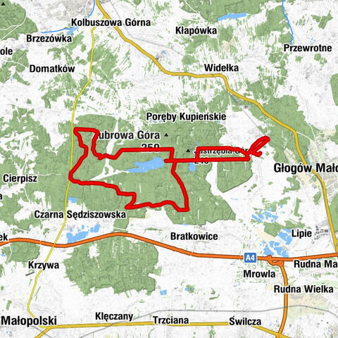 Kościół pw. Niepokalanego Serca NMP - Rękawek - Czubata Górka - Kaczorówka